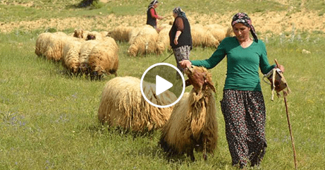 Sende Solacaksın Günün Birinde – Sevda Gül